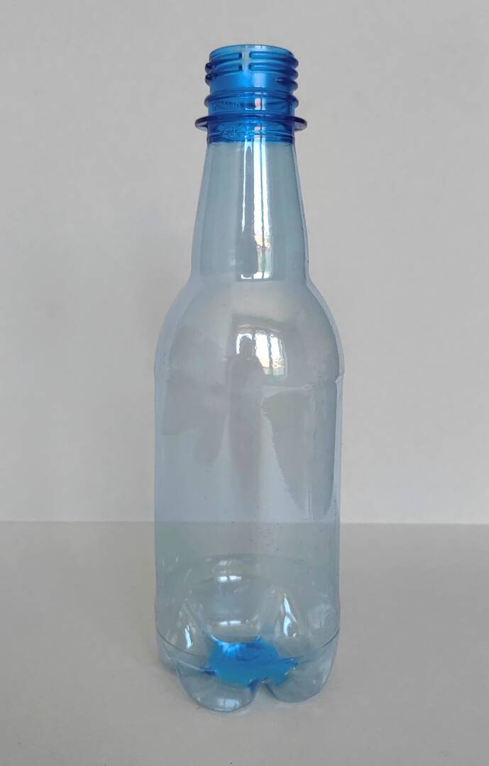 0,330l butilka za gazirani i negazirani napitki, tsvyat sin